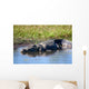 Wild Crocodile Sunbathing Wall Decal
