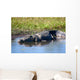 Wild Crocodile Sunbathing Wall Decal