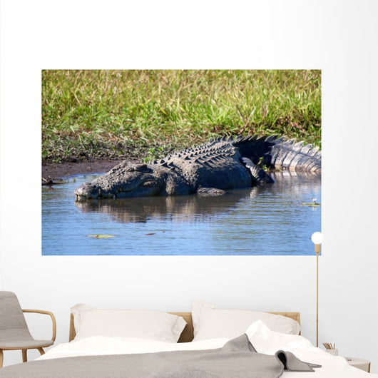 Wild Crocodile Sunbathing Wall Decal
