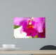 Fuchsia Orchid Wall Decal