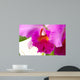 Fuchsia Orchid Wall Decal