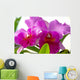 2 Fuchsia Orchids Wall Decal