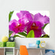 2 Fuchsia Orchids Wall Decal