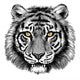 Powerful Tiger with Bright Wall Decal