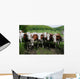 Herd Dairy Cows Wall Decal