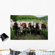 Herd Dairy Cows Wall Decal