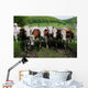 Herd Dairy Cows Wall Decal