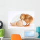 Chicken Wall Decal