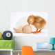 Chicken Wall Decal