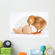 Chicken Wall Decal