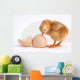 Chicken Wall Decal