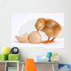 Chicken Wall Decal
