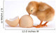 Chicken Wall Decal