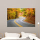 Winding Road Wall Decal