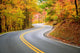 Winding Road Wall Decal