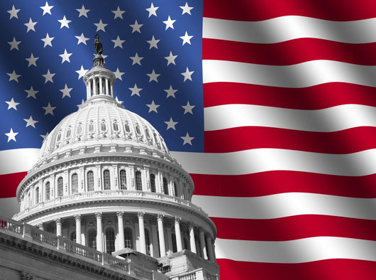 Us Capitol Building Washington Wall Decal