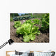 Vegetable Garden Countryside Wall Decal