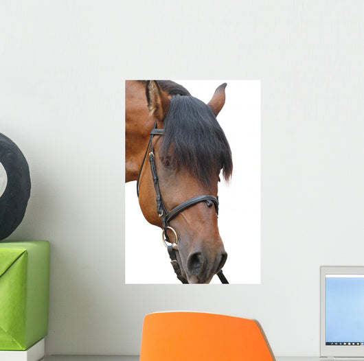 Horse Wall Decal
