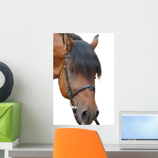 Horse Wall Decal