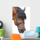 Horse Wall Decal