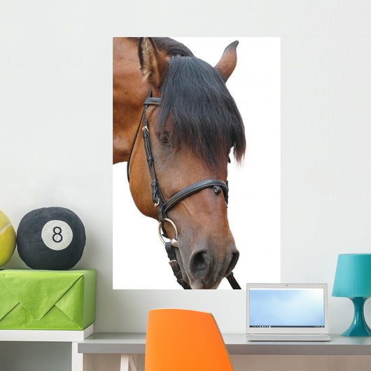 Horse Wall Decal