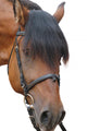 Horse Wall Decal