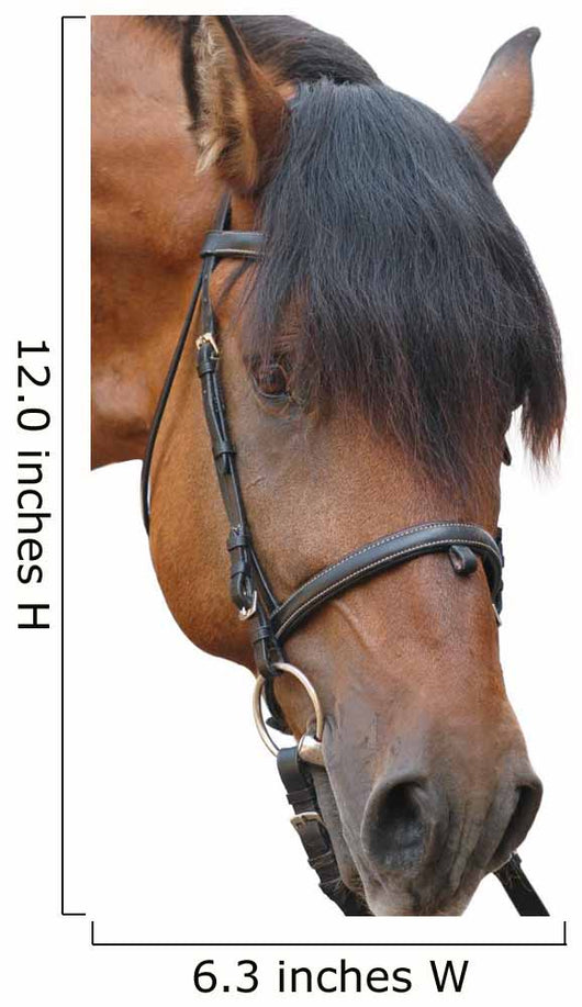 Horse Wall Decal