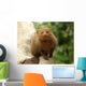 Dwarf Mongoose Snake Killer Wall Decal