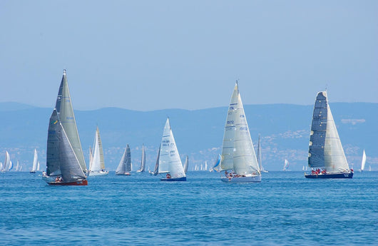 Sail-boats Regatta No2 Wall Decal