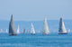 Sail-boats Regatta No2 Wall Decal
