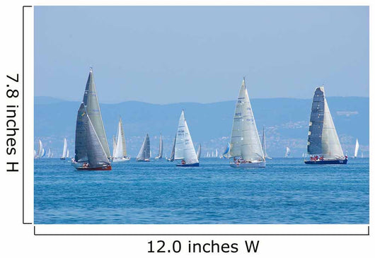 Sail-boats Regatta No2 Wall Decal