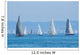 Sail-boats Regatta No2 Wall Decal