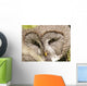 Bartkauz (Great Grey Owl) Wall Decal
