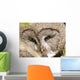 Bartkauz (Great Grey Owl) Wall Decal