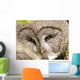 Bartkauz (Great Grey Owl) Wall Decal