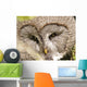Bartkauz (Great Grey Owl) Wall Decal