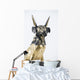 Egyptian God Anubis Head Wall Decal