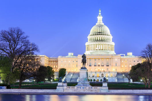 United States Capitol Building Wall Decal