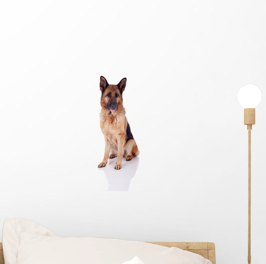 German Shepherd Sitting Front Wall Decal