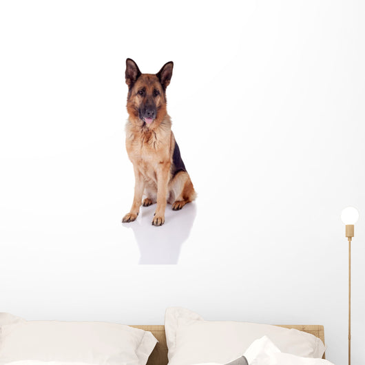 German Shepherd Sitting Front Wall Decal