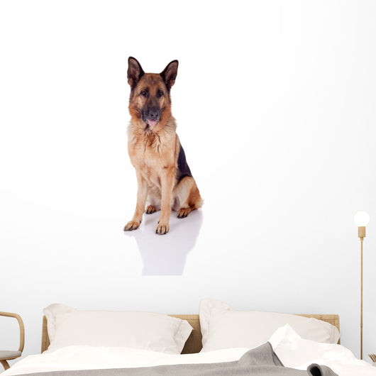German Shepherd Sitting Front Wall Decal
