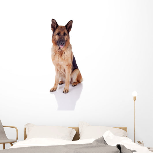 German Shepherd Sitting Front Wall Decal