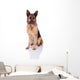 German Shepherd Sitting Front Wall Decal