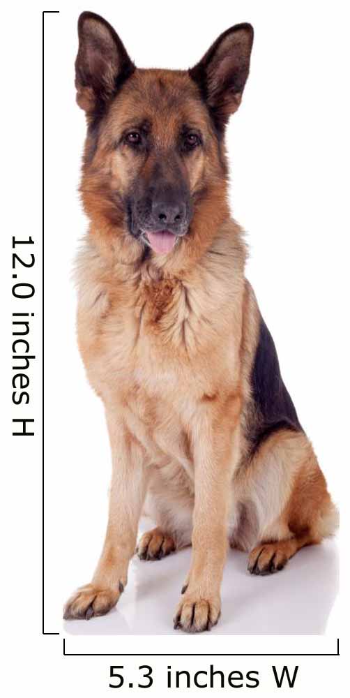 German Shepherd Sitting Front Wall Decal