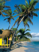 Bavaro Beach Wall Decal