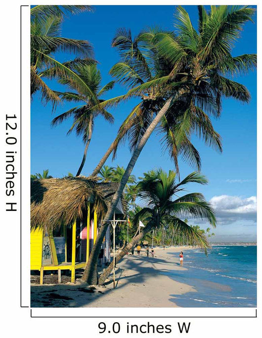 Bavaro Beach Wall Decal