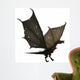 Fantasy Dragon with Wings Extended Wall Decal