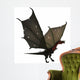 Fantasy Dragon with Wings Extended Wall Decal