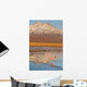 Atacama Wall Decal