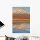 Atacama Wall Decal